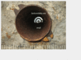 burtconstable.com