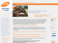 mustangwebdesigns.com