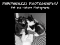 pawparazziphotography.com