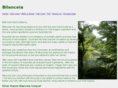 bilancea.com