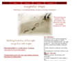 insightfulsteps.org