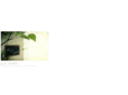 pico-studio.com