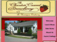 thechocolatecoveredstrawberry.com