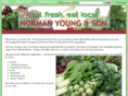 normanyoung.com