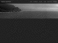 thevelvetspider.com