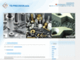 ts-precision.asia