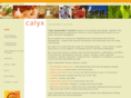 calyxsite.com