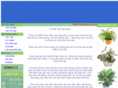 caycanhvanphong.com