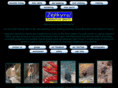 enjoycyprus.com