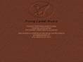 flyingcamel.net