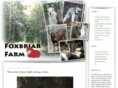 foxbriarfarmstead.com