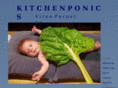kitchenponics.com