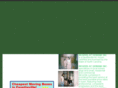 movingcompanyfranchises.com