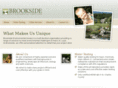 brookside-environmental.com