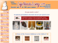 lifeneedsicing.com