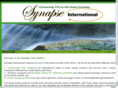 synapse-usa.com