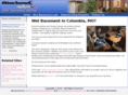 basement-waterproofing-columbia-mo.com