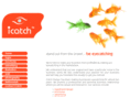 icatch.ie