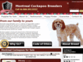montrealcockapoobreeders.com
