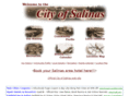salinas.net