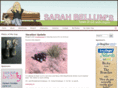 sarahnielson.com