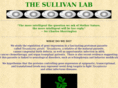 sullivanlab.com