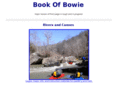 bookofbowie.net