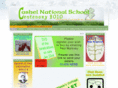 cashelnationalschoolcentenary.com