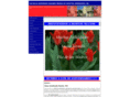 hostos82.com