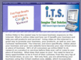 imaginethatsolution.com
