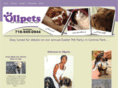 ollpets.com