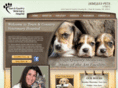 tcvhstl.com