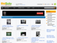 bidsow.com