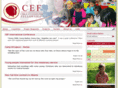 cef-central-europe.com