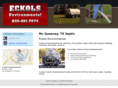 eckolsenvironmental.com