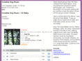 invisibledogmusic.com