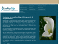 leadingedgecare.com