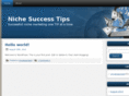 nichesuccesstips.com