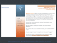 shererstrategies.com