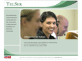telsek.com