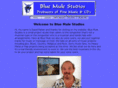 bluemulestudios.com