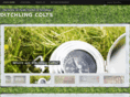 ditchlingcolts.com