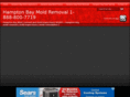hamptonbaymoldremoval.com
