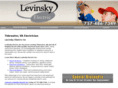 levinskyelectric.com