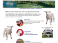 blueribbonfarm.net