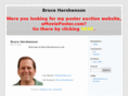 brucehershenson.com