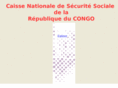 cnsscongo.org