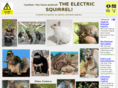 electricsquirrel.com