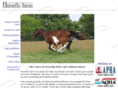 horseflyfarm.com