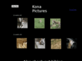 konahusky.com